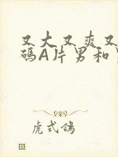 又大又爽又黄无码A片男和男