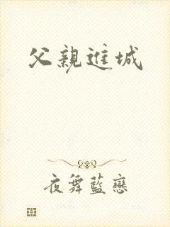 父亲进城
