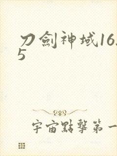 刀剑神域16.5