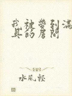 我被带到满是玩具的房间