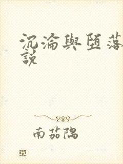 沉沦与堕落的小说