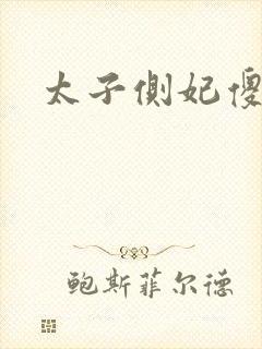 太子侧妃傻乎乎
