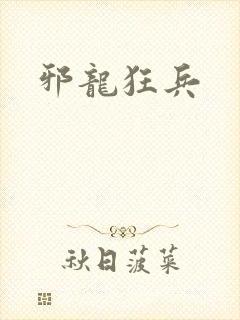 邪龙狂兵