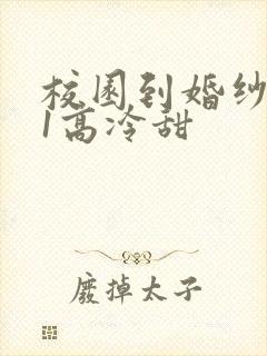 校园到婚纱1V1高冷甜