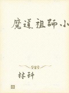 魔道祖师小说封面