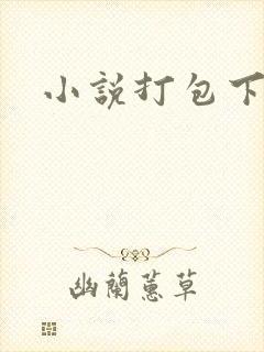 小说打包下载
