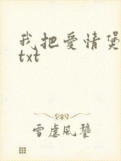我把爱情煲成汤txt