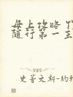 母上攻略 竹影随行第一主板