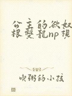 公主的欲奴h四根双龙np视频