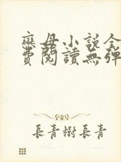 恋母小说全文免费阅读无弹窗笔趣阁