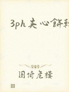 3ph夹心饼干封面