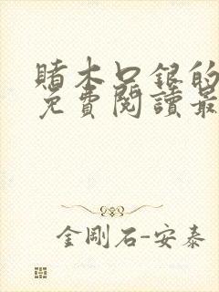 赌木口银的小说免费阅读最新