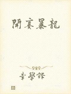 开赛暴龙封面
