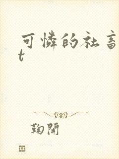 可怜的社畜txt封面