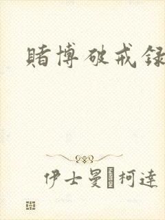 赌博破戒录封面