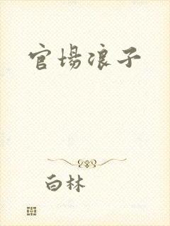 官场浪子