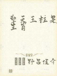 擎天玉柱是什么生肖