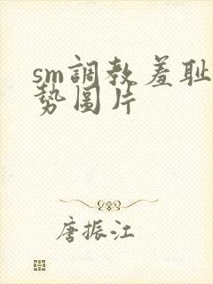 sm调教羞耻姿势图片封面