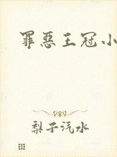 罪恶王冠小说