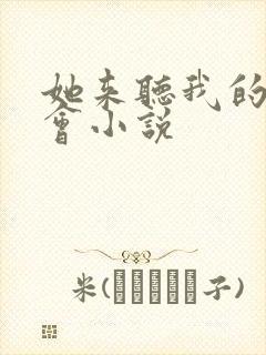 她来听我的演唱会小说封面