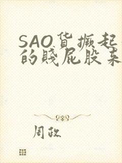 SAO货撅起你的贱屁股来