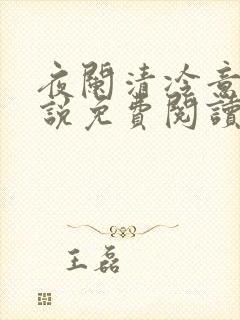 夜阑清冷意欢小说免费阅读封面
