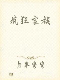 疯狂家族封面