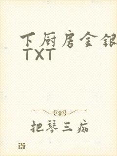 下厨房金银花露 TXT封面