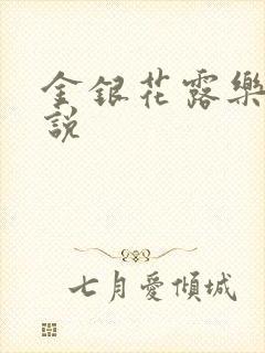 金银花露乐可小说封面