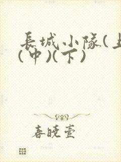 长城小队(上)(中)(下)