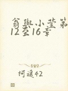 翁与小莹第十部12至16章