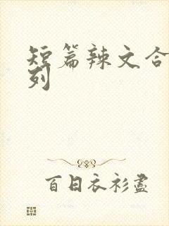短篇辣文合集系列