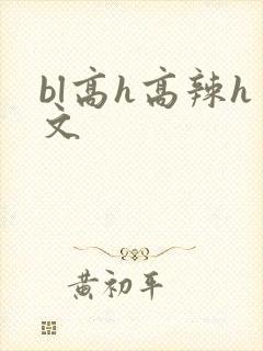 bl高h高辣h文