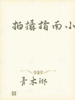 拍摄指南小说