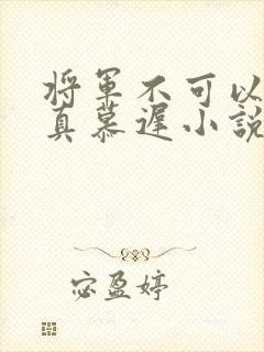 将军不可以魏云真慕迟小说笔趣阁