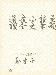 深夜小说免费阅读全文笔趣阁封面