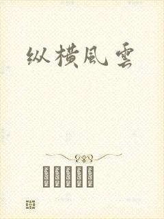 纵横风云