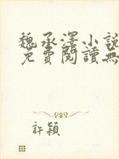 魏承泽小说全文免费阅读无弹窗笔趣
