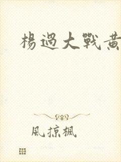 杨过大战黄蓉