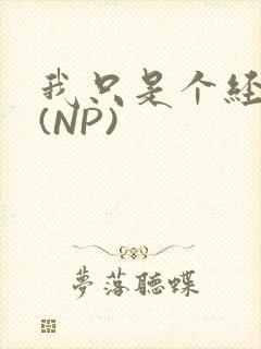 我只是个经纪人(NP)