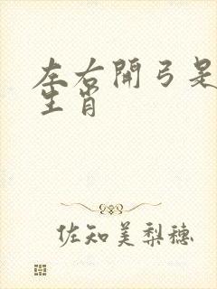 左右开弓是什么生肖