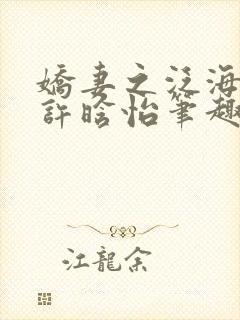 娇妻之泛海之舟许晗怡笔趣阁封面