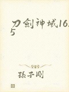 刀剑神域16.5