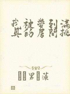 我被带到满是玩具的房间挑调作文