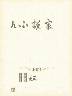 h小说家