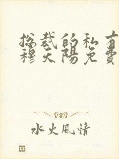 总裁的私有宝贝穆天阳免费
