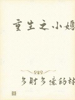 重生之小媳妇