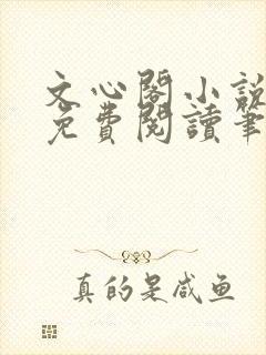 文心阁小说全文免费阅读笔趣阁