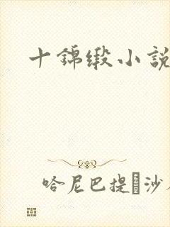 十锦缎小说