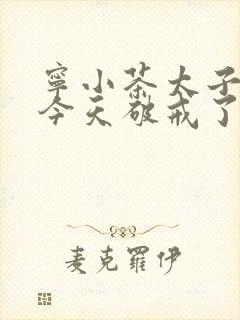 宁小茶太子殿下今天破戒了吗免费阅读